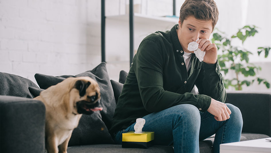 Getting an air purifier is one of the best methods to enhance your residence’s indoor air quality. Learn more about the three best solutions. 